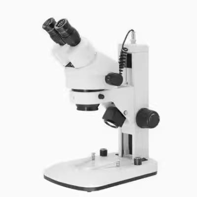 上海彼爱姆 XTZ-D/E/ED系列 实验室生物显微镜细胞活体组织显微镜