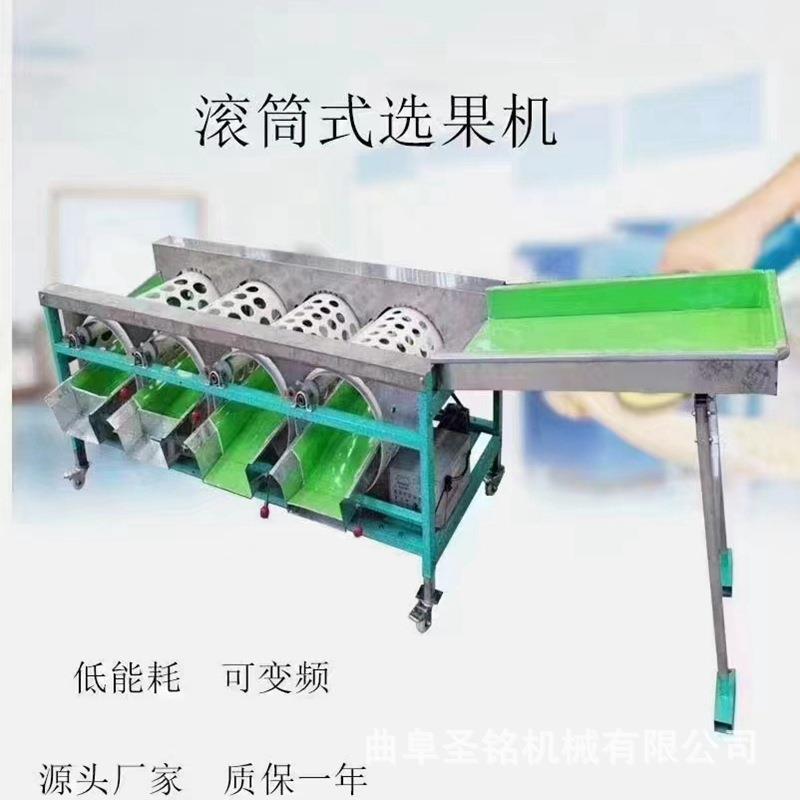 商用电动滚筒式大蒜分选机 沃柑金桔柠檬分级机 龙眼分级优选机