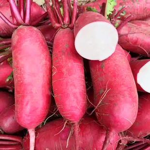 红萝卜种子水果萝卜种籽红皮白肉萝卜生吃脆甜蔬菜四季高产包邮