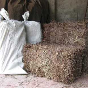 福建仙草凉粉草1kg 无土凉茶饮料原料 仙草冻 邱福平福建仙