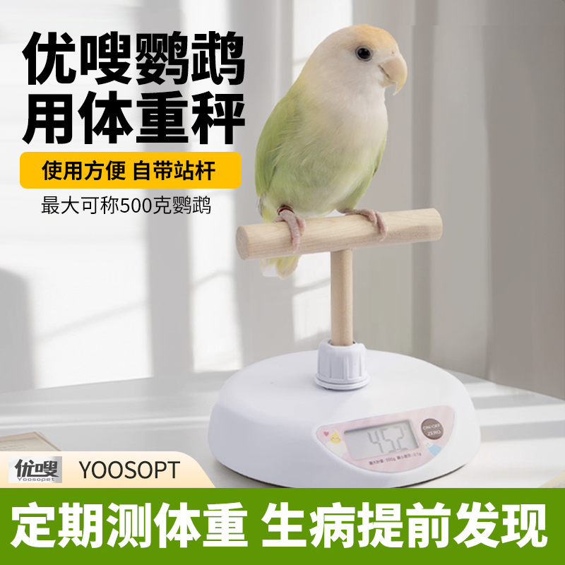 鹦鹉体重称T型站台互动套装