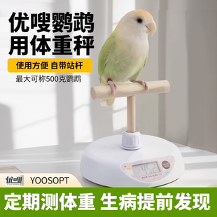 优嗖鹦鹉体重称T型站台互动克称套装 体重记录电子小宠牡丹玄凤