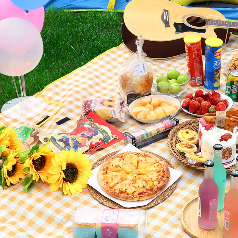 野餐垫春游防潮垫野餐布户外防水草野炊地垫子郊游加厚ins风
