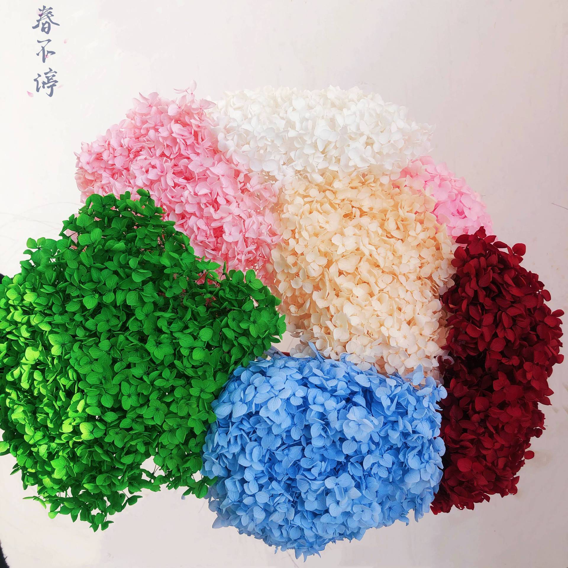 昆明永生花绣球云南永生花干花绣球花束礼盒配材