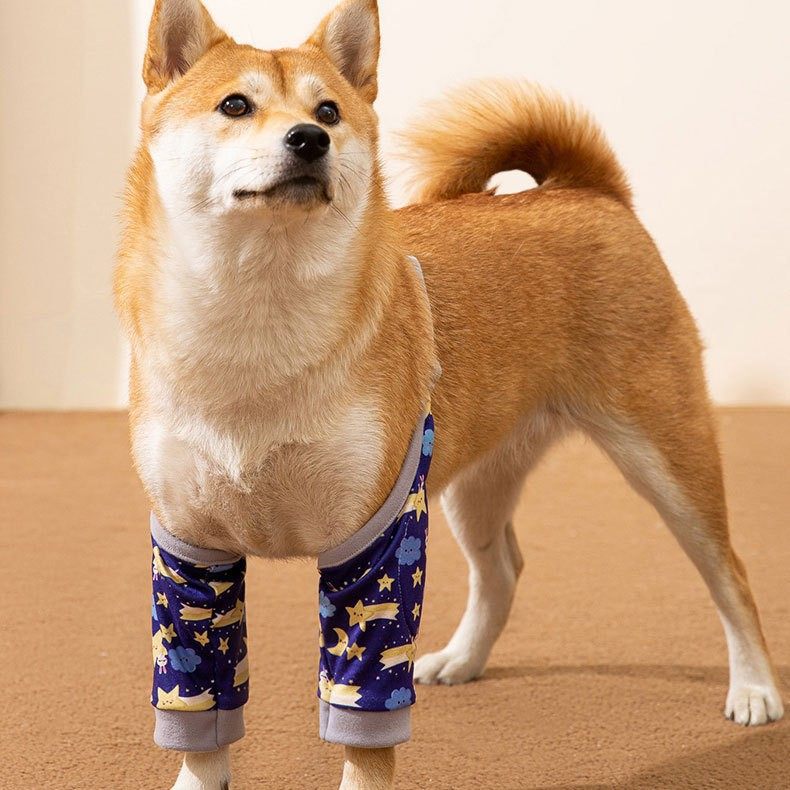 狗狗护膝护肘中大型犬防脏防灰衣服关节保护套狗狗护腿宠物衣服,宠物/宠物食品及用品,狗宠物服装/雨衣,淘宝优惠券,粉丝福利购,淘宝优惠卷