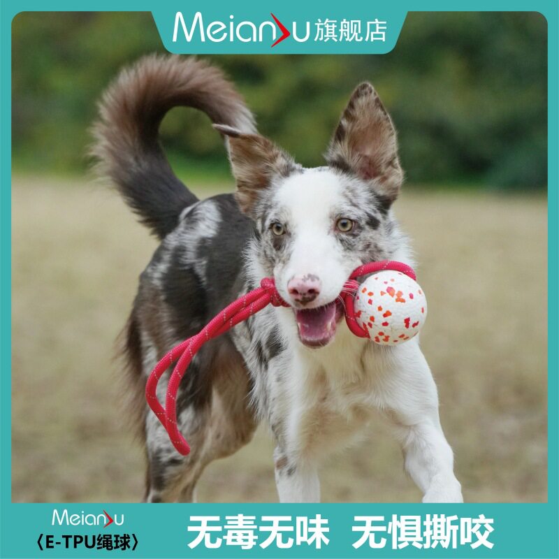 狗狗绳球 爗米花球E-TPU材质轻耐咬不坏狗狗寻回训练玩具宠物用品
