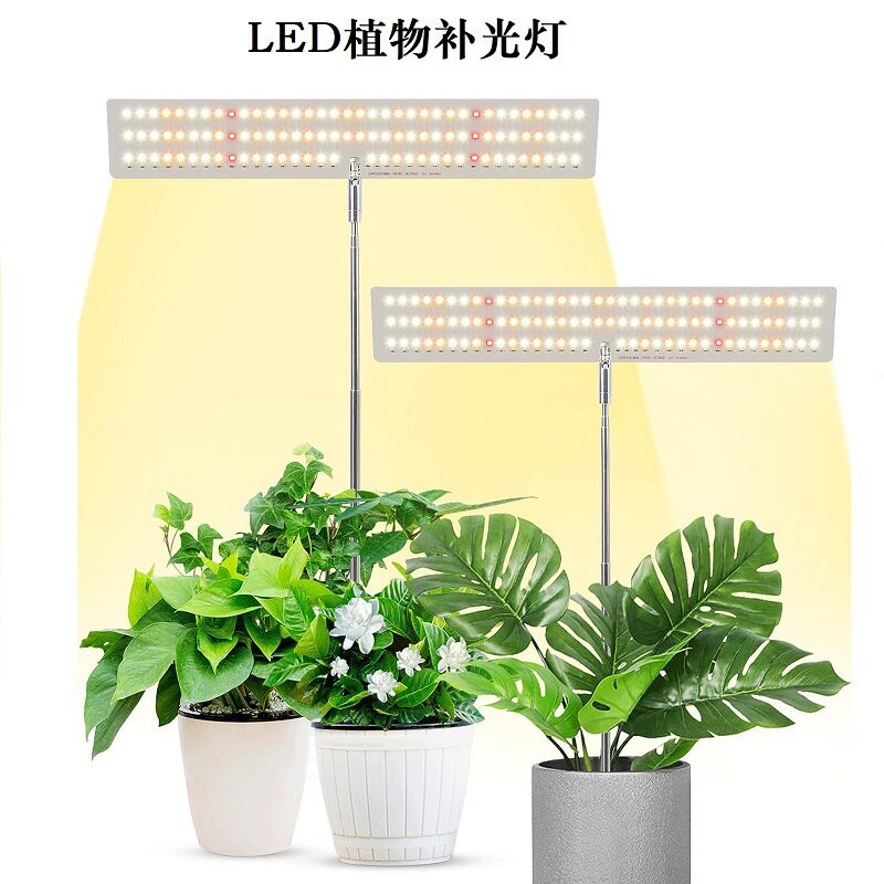 LED植物补光灯升降桌面全图片