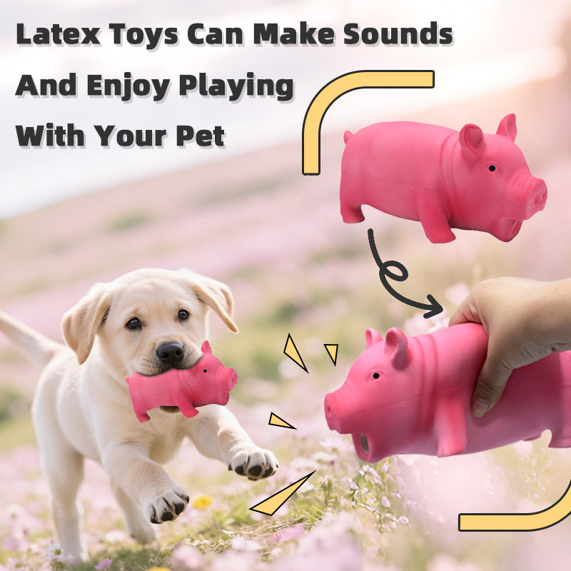 狗狗发声玩具吱吱叫惨叫猪磨牙耐咬小中大型犬解闷宠物狗玩具