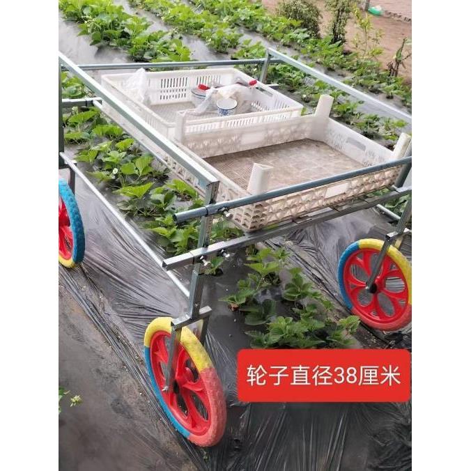 草莓采摘车手推车蔬菜瓜果运输工具轻便草莓专用运输车大棚农用
