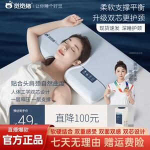 觉觉猪深睡记忆枕第2代pro慢回弹枕头双芯升级护颈记忆枕双面双感