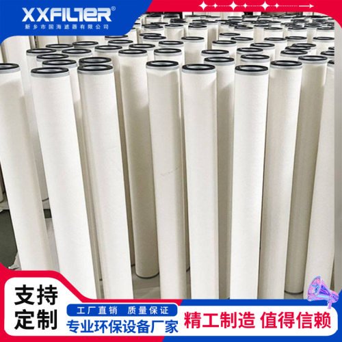 CS604LGH13天然气滤芯 高效过滤器 GTU气体处理不锈钢过滤器滤芯