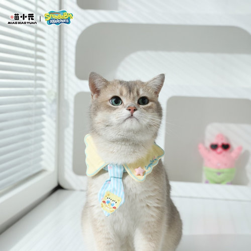 宠物口水巾猫咪围脖小狗项圈