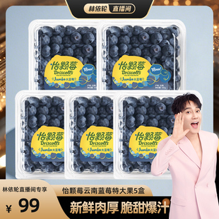 【林依轮直播间】Driscoll's 怡颗莓云南蓝莓5盒装新鲜水果包邮
