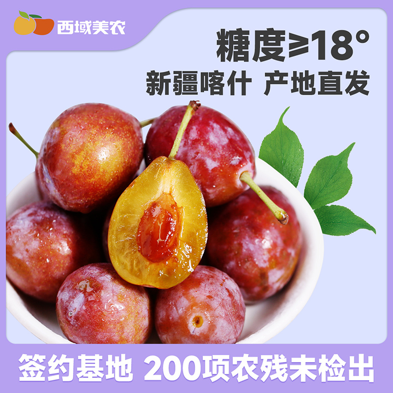 潮流精品,品质保证