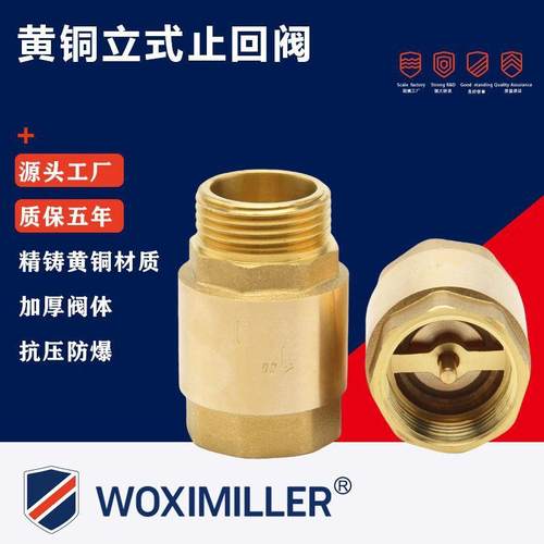 黄铜止回阀铜芯逆止阀升降式单向阀自来水止逆阀4分6分软密封