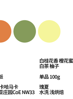 FEW少数派Steam Kissed秘鲁CoE NW33水洗瑰夏手冲咖啡豆100g