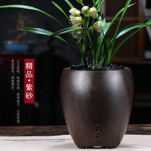 兰花盆陶瓷透气宜兴紫砂兰花盆吊兰君子兰春蕙墨达摩兰草兰花专用
