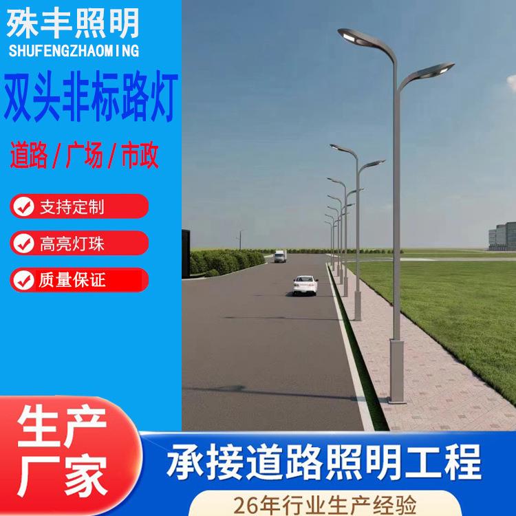 双臂高杆路灯双头太阳能路灯智慧景观庭院灯草坪灯投光灯太阳能灯