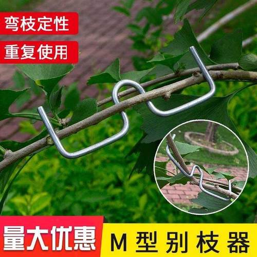 m型拉枝器果树拉枝神器别枝器拉枝器s压枝弯枝定型拉树枝神器固定