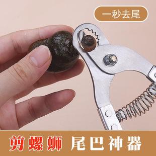 304不锈钢田螺剪石螺剪螺蛳剪去尾工具