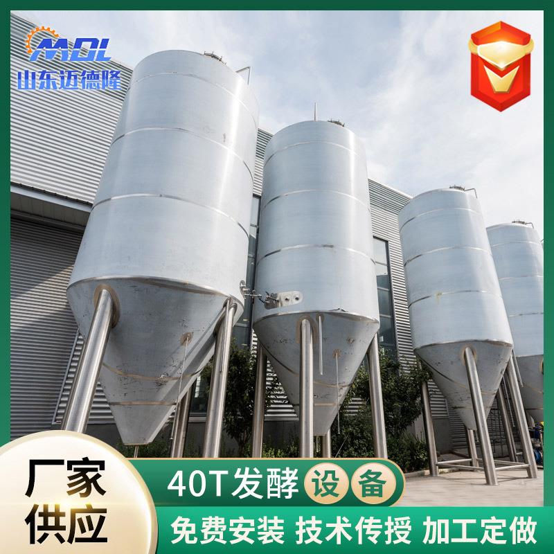 啤酒发酵罐500L1000L2000L啤酒乳品发酵罐发酵罐酿酒设备