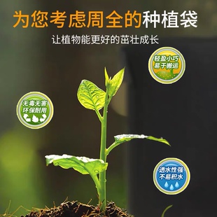 加厚种植袋长方形正方美植灰色无纺布阳台种菜蔬果防腐木花箱内袋