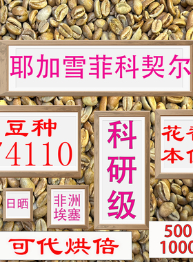 (咖啡生豆)耶加雪菲科契尔74110咖啡豆手冲精品豆埃塞尔比亚咖啡