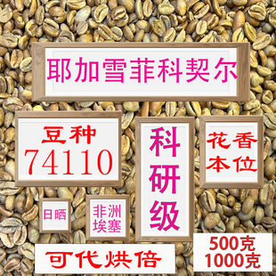 (咖啡生豆)耶加雪菲科契尔74110咖啡豆手冲精品豆埃塞尔比亚咖啡
