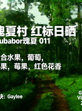 (咖啡生豆)25产季瑰夏村红标瑰夏埃塞尔比亚日晒红标瑰夏咖啡豆