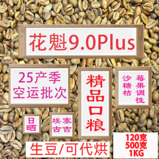 (咖啡生豆)花魁9.0plus咖啡豆埃塞尔比亚花魁手冲咖啡豆进口