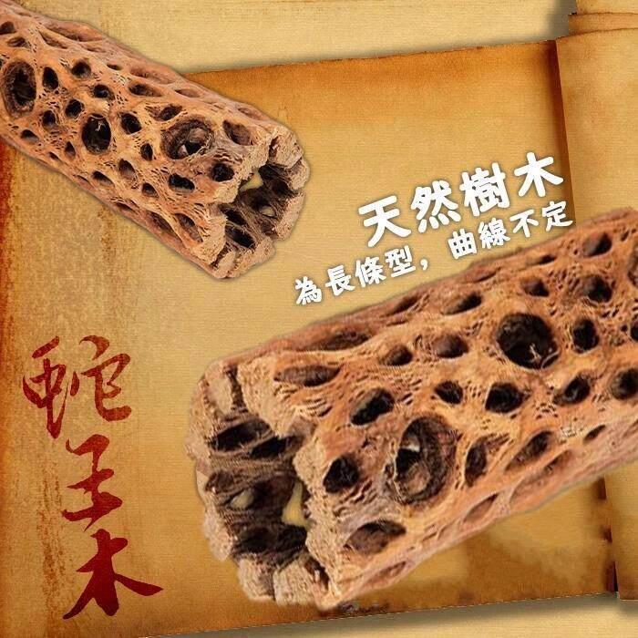 蛇王木仙人掌水晶虾苏虾异形寄居蟹空凤植物蜂窝木沉木造景装饰