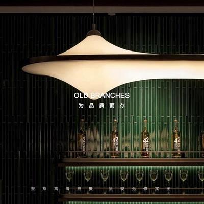 老树枝荷兰Static Plastic中古餐厅吊灯简约长条工作室书房护眼灯
