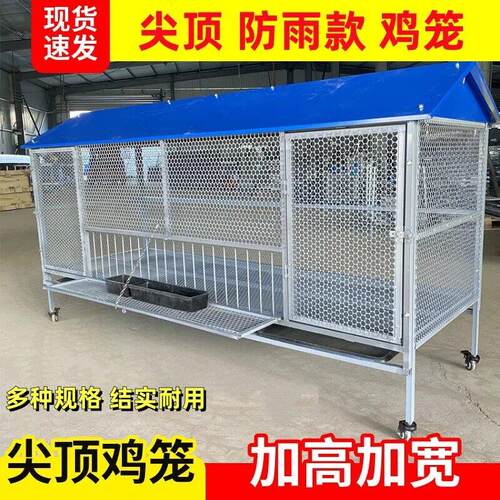 家用鸡笼鸡鸭兔兔笼铁丝网养殖笼超强承重收蛋笼室内尖顶鸭笼鸽笼