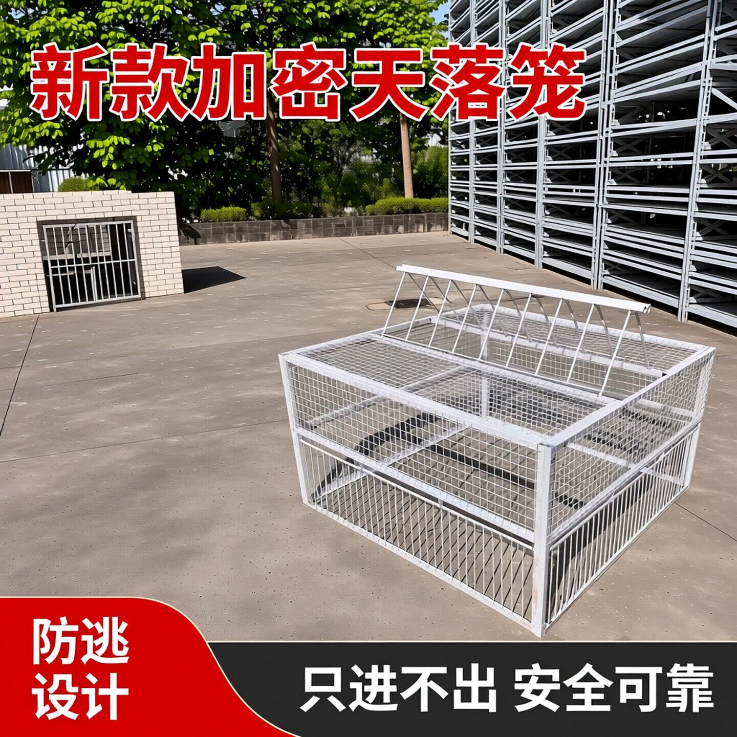 5进口天落鸽笼户外家用只进不出