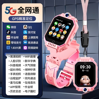 子腾园（5G全网通智能手表支持wifi可插卡高清旋转双摄下载定位