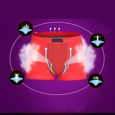 High Quality Male Underwear Mens Sexy Magnetic Therapy Boxer