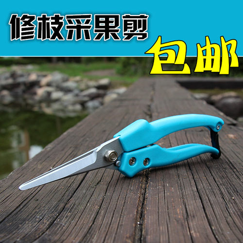 好货修枝葡萄剪花枝剪刀果树整枝树枝剪粗枝采果剪园艺工具摘水果