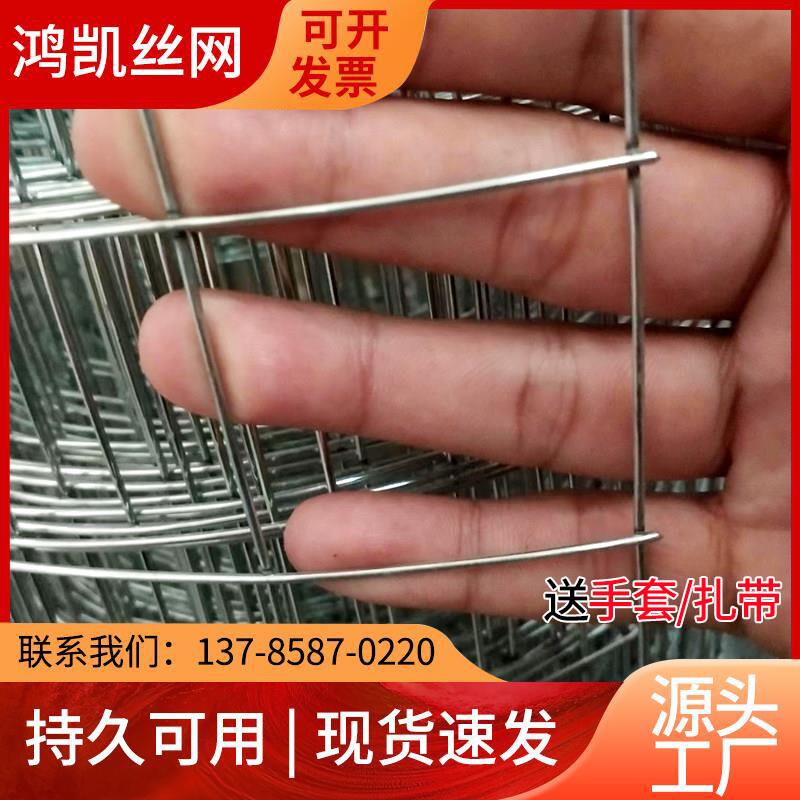 新品大孔镀锌电焊l铁丝网装玉米网山地果园围栏网防锈养殖铁网格
