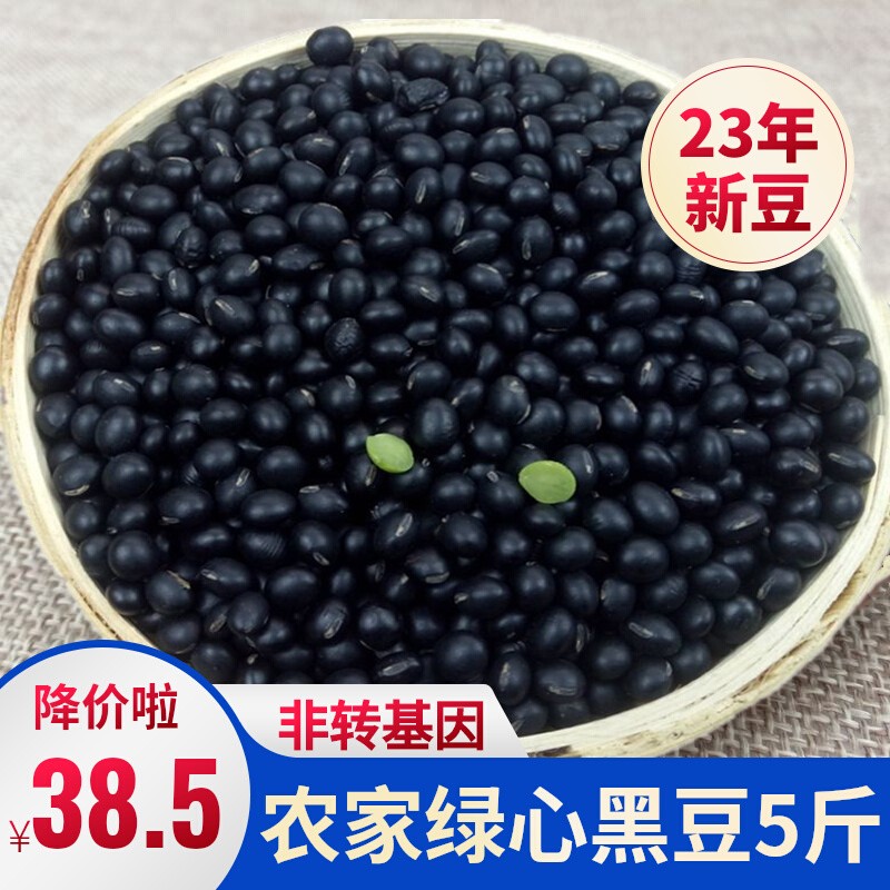 非转基因有机5斤专用发芽黑豆