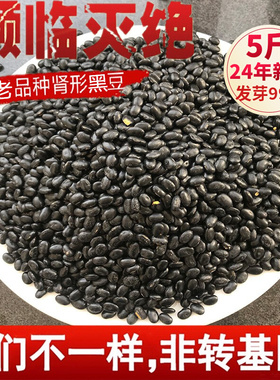 非转基因黑豆5斤 农家新黑豆老品种打豆浆肾形黄芯黑豆发豆芽黑豆