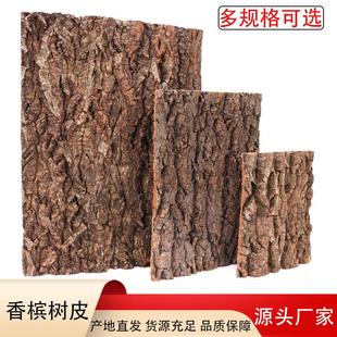 鱼缸香槟树皮水族雨林缸背景软木真栎树皮cork爬行动物躲避背景板