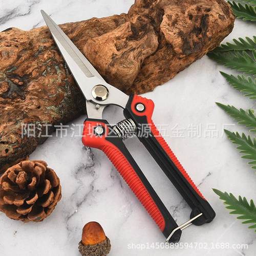 现货 不锈钢花剪园艺剪刀修枝剪树枝剪刀日本花艺剪刀