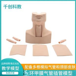 环甲膜穿刺气管切开训练模型喉管环状软骨解剖切开插管模具