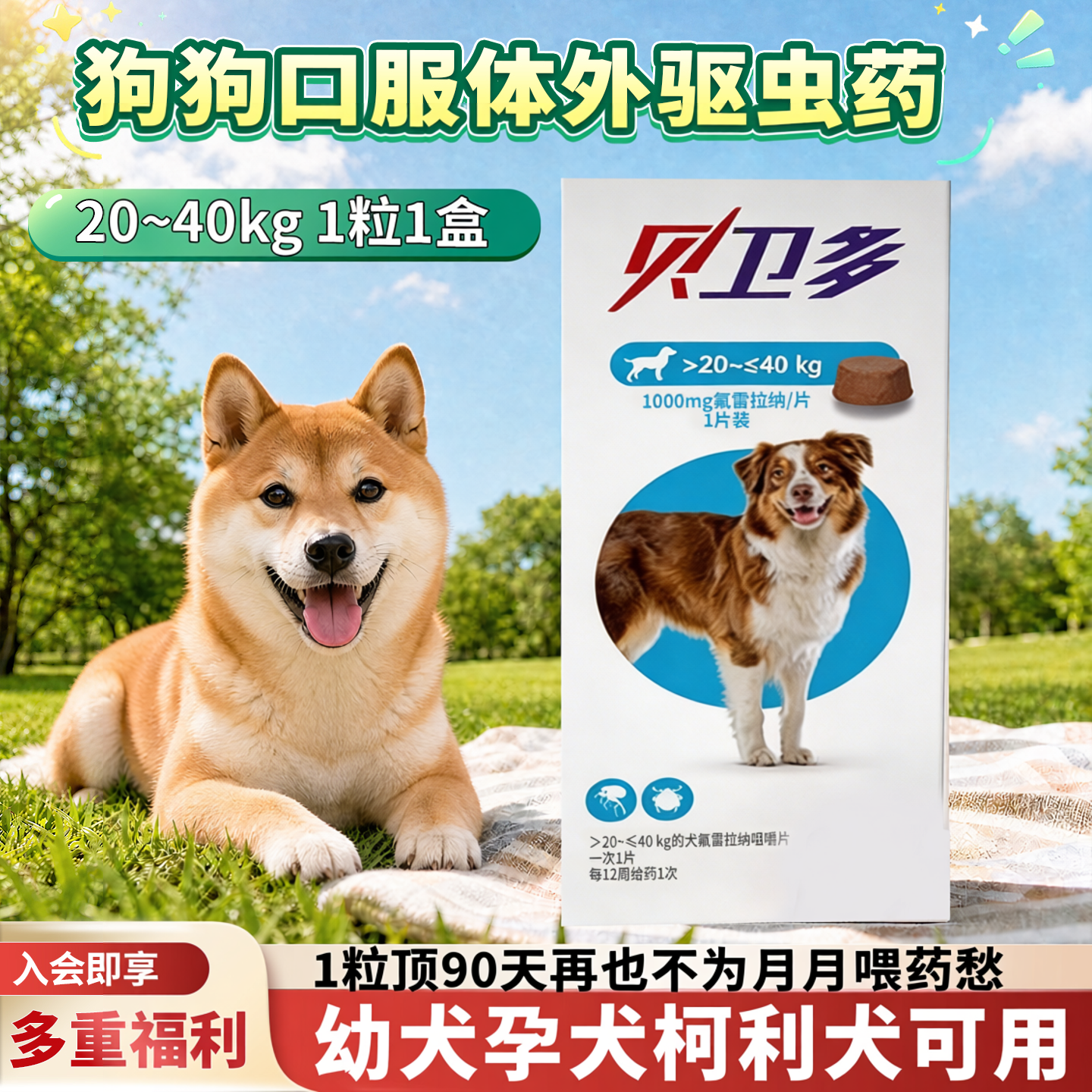 贝卫多大型犬体外驱虫药跳蚤蜱虫