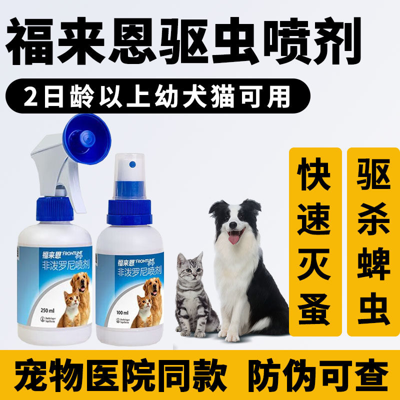 驱虫喷剂体外驱虫跳蚤蚤卵图片