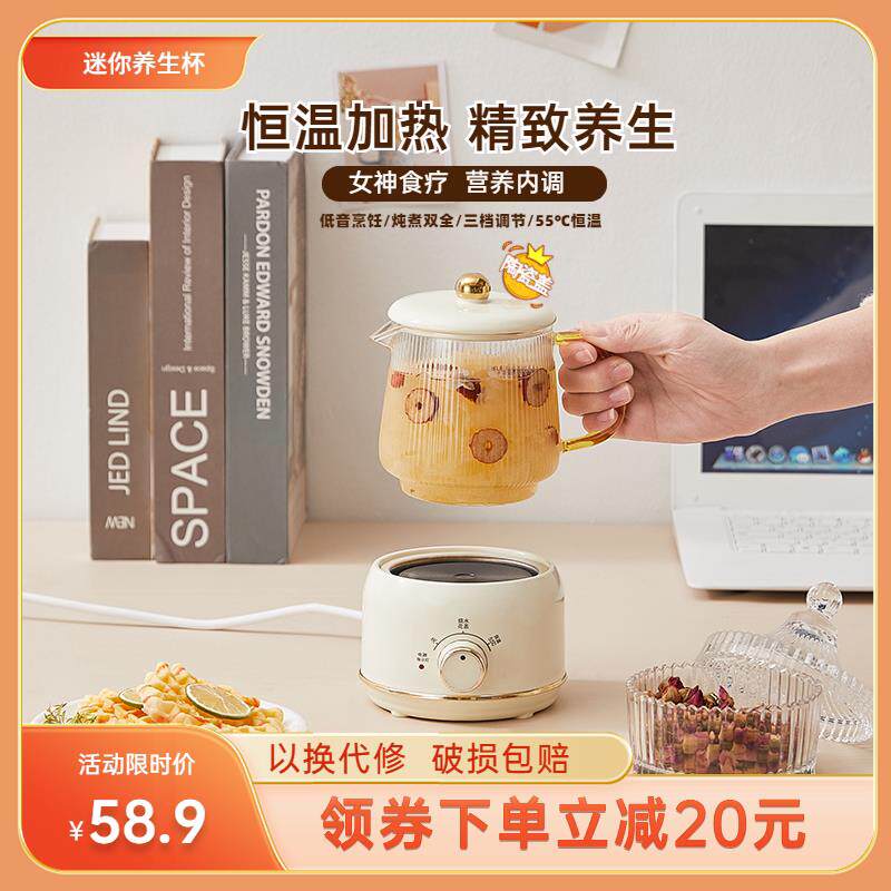 养生壶多功能家用花茶壶办公室小型迷你一人养生杯煮茶器养生炖杯