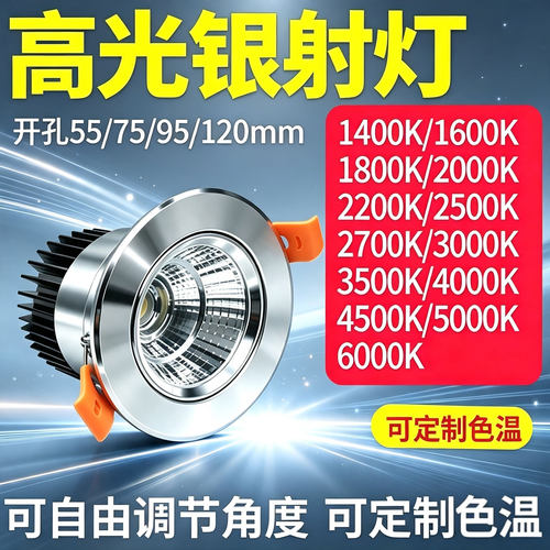 高光银嵌入式COB小射灯