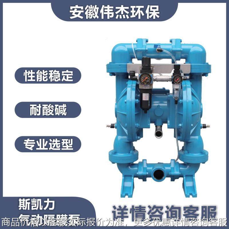 Skylink 斯凯力 PDSK系列粉体泵 新型粉末 输送设备 气动粉体泵