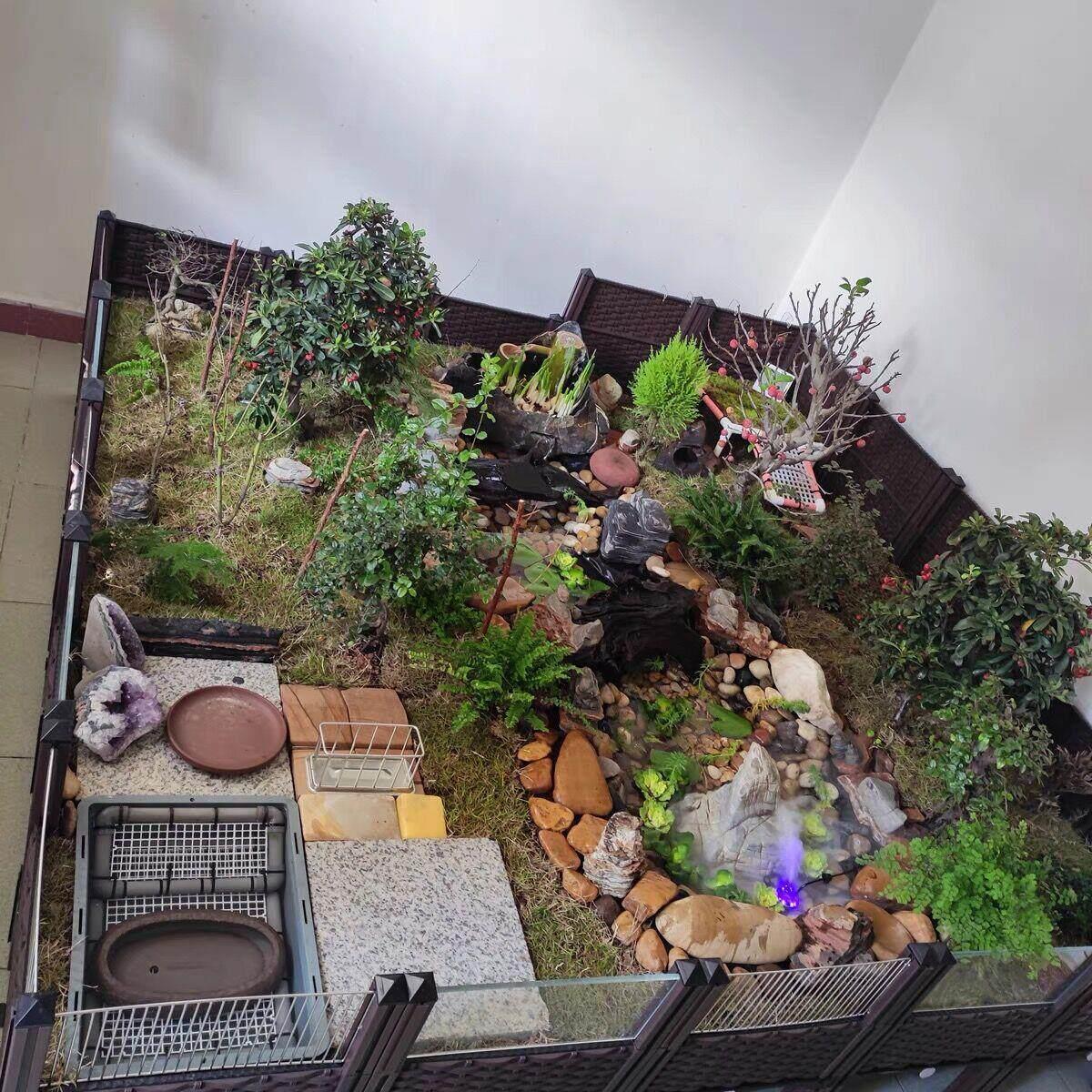 黄缘龟专用缸龟饲养箱安缘台缘闭壳龟苗造景植物生态环境乌养殖箱