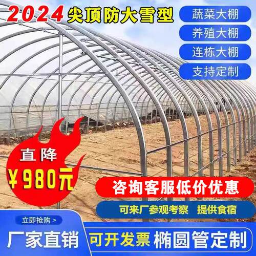 大棚钢管骨架温室蔬菜种植全套养殖大棚椭圆管牛羊圈猪舍鸡棚架子